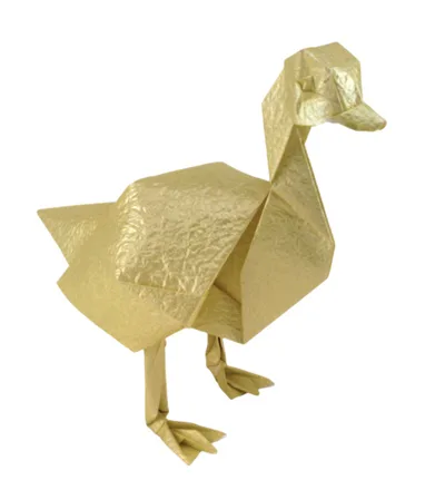 Snow goose
