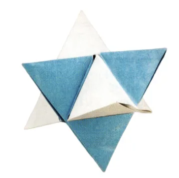 Kepler's star