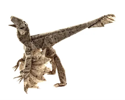 Bambiraptor