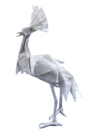 Crowned crane