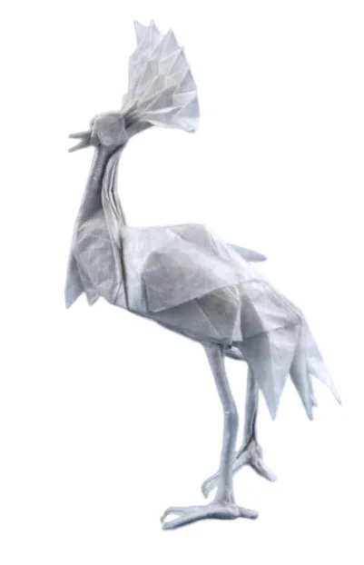 Crowned crane