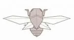 Cicada - flying