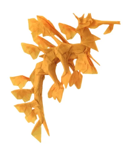 Leafy seadragon