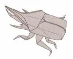 Neptune giant beetle
