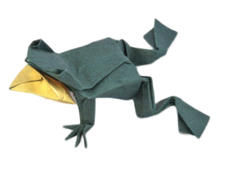 Frog - 15 degrees