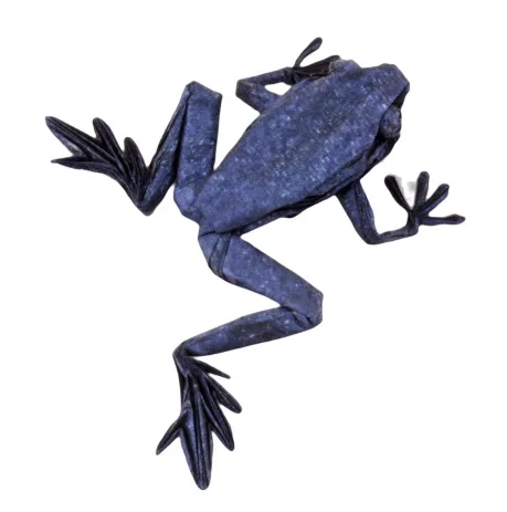 Poison dart frog HP