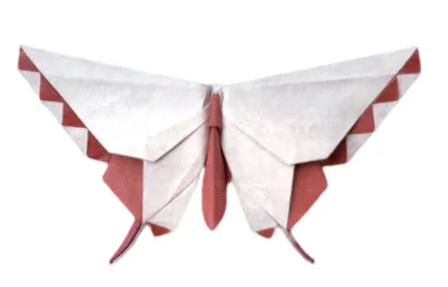 Butterfly - Makoto Yamaguchi