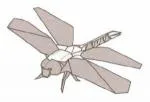 Dragonfly - golden ringed