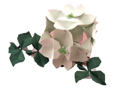 Dogwood cube