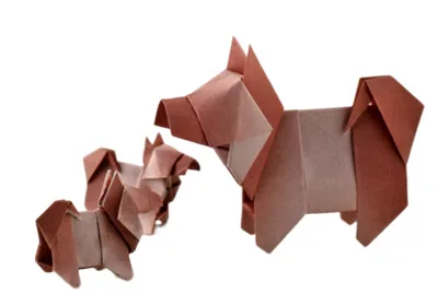 Japanese dog