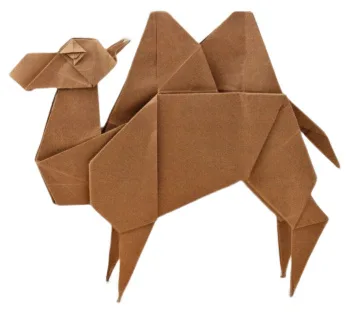 Camel