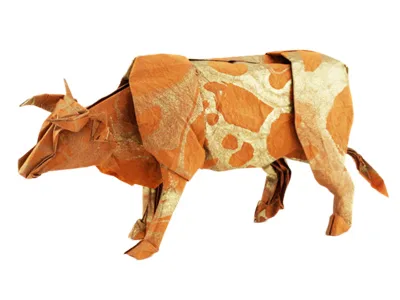 Cattle