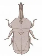 Japanese horned beetle (male)