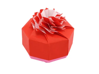 Carnation box