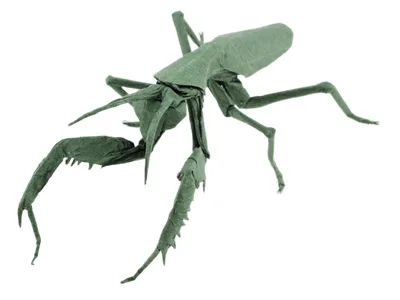 Mantis