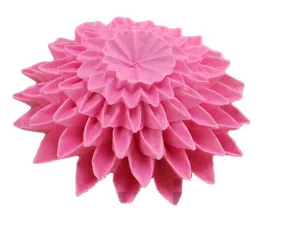 Dahlia