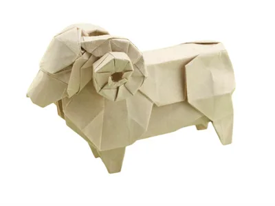 Sheep