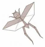 Locust - Asiatic - flying