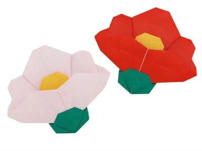Camellia