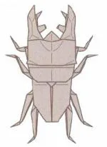 Lucanus stag beetle