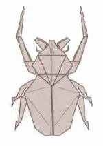 Goliath horned flower beetle