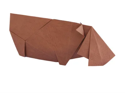 Hippopotamus