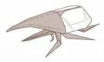 Hercules giant beetle