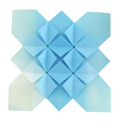 Hydrangea 2