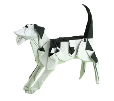 Dalmatian