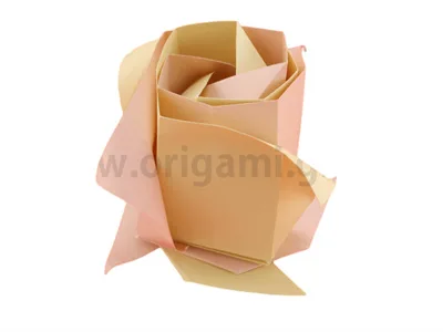 Rose - modular