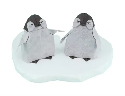 Baby penguin