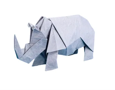 Rhinoceros