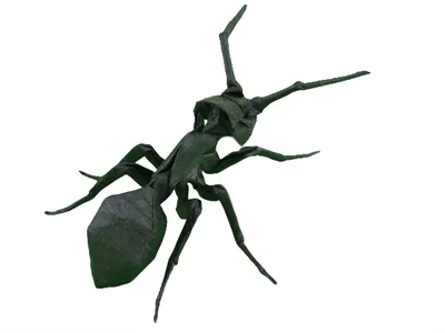 Ant