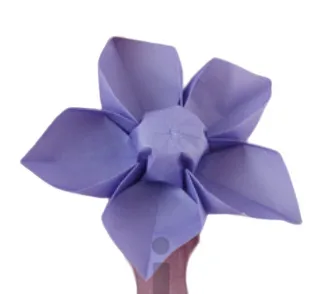 Clematis