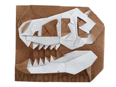 Dinosaur skull