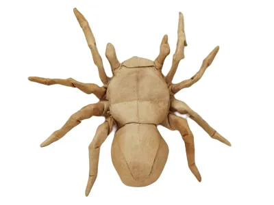 Tarantula