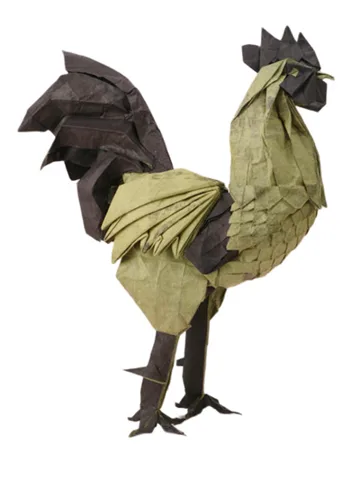Rooster