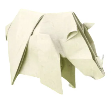Rhinoceros