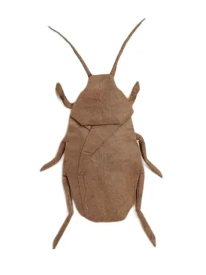 Cockroach