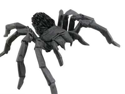 Tarantula