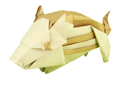 Boar piglet