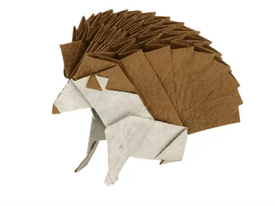 Hedgehog