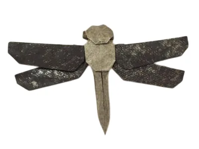 Dragonfly