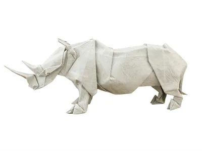 Rhinoceros