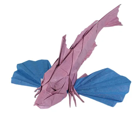 Bluefin searobin