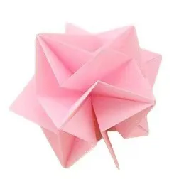 Desert rose