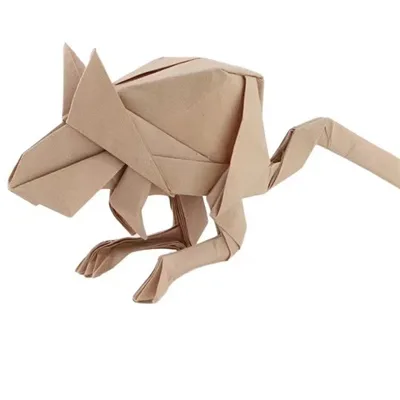 Jerboa