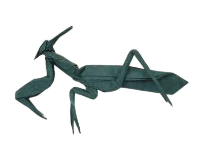 Praying Mantis