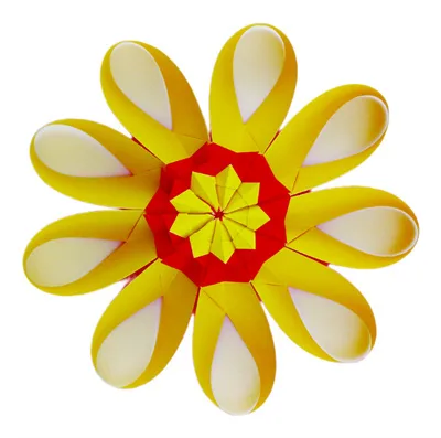 Daisy 9