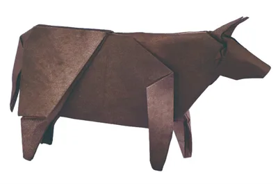 Wagyu caow